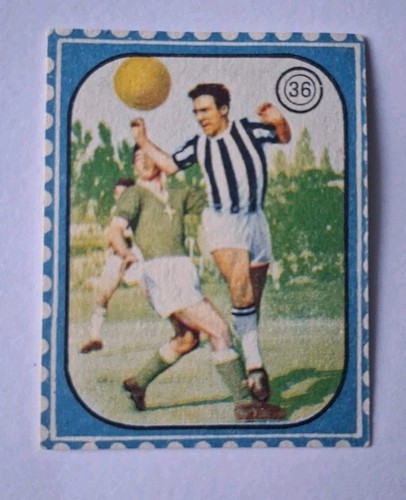 Cicogna tuttosport 1958 n - tuttosport,
