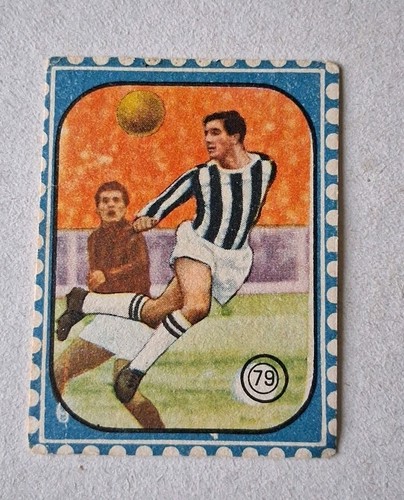 Cicogna tuttosport 1958 - cicogna,